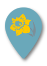Daffodil Days Icon